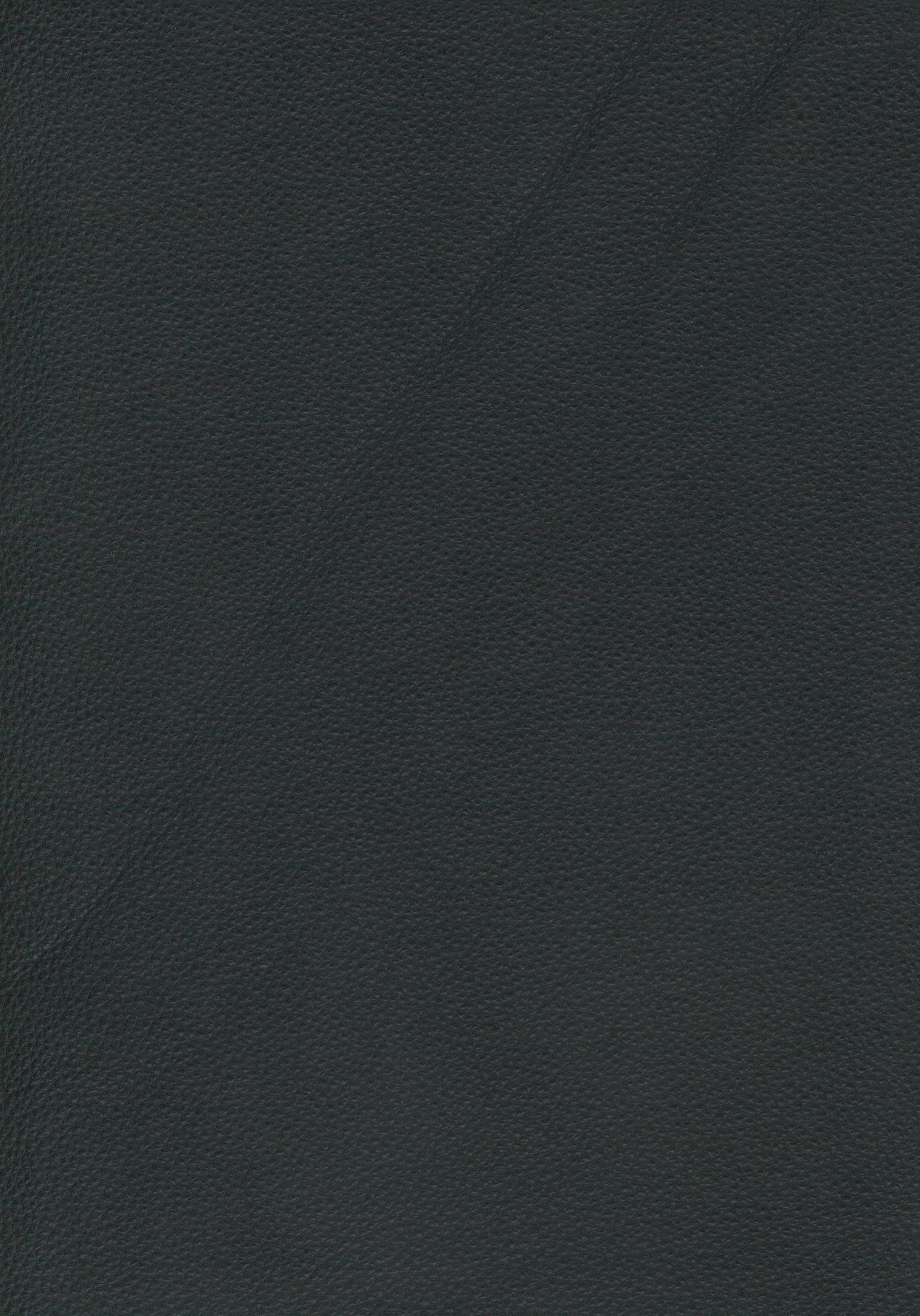 098 38 Anthracite