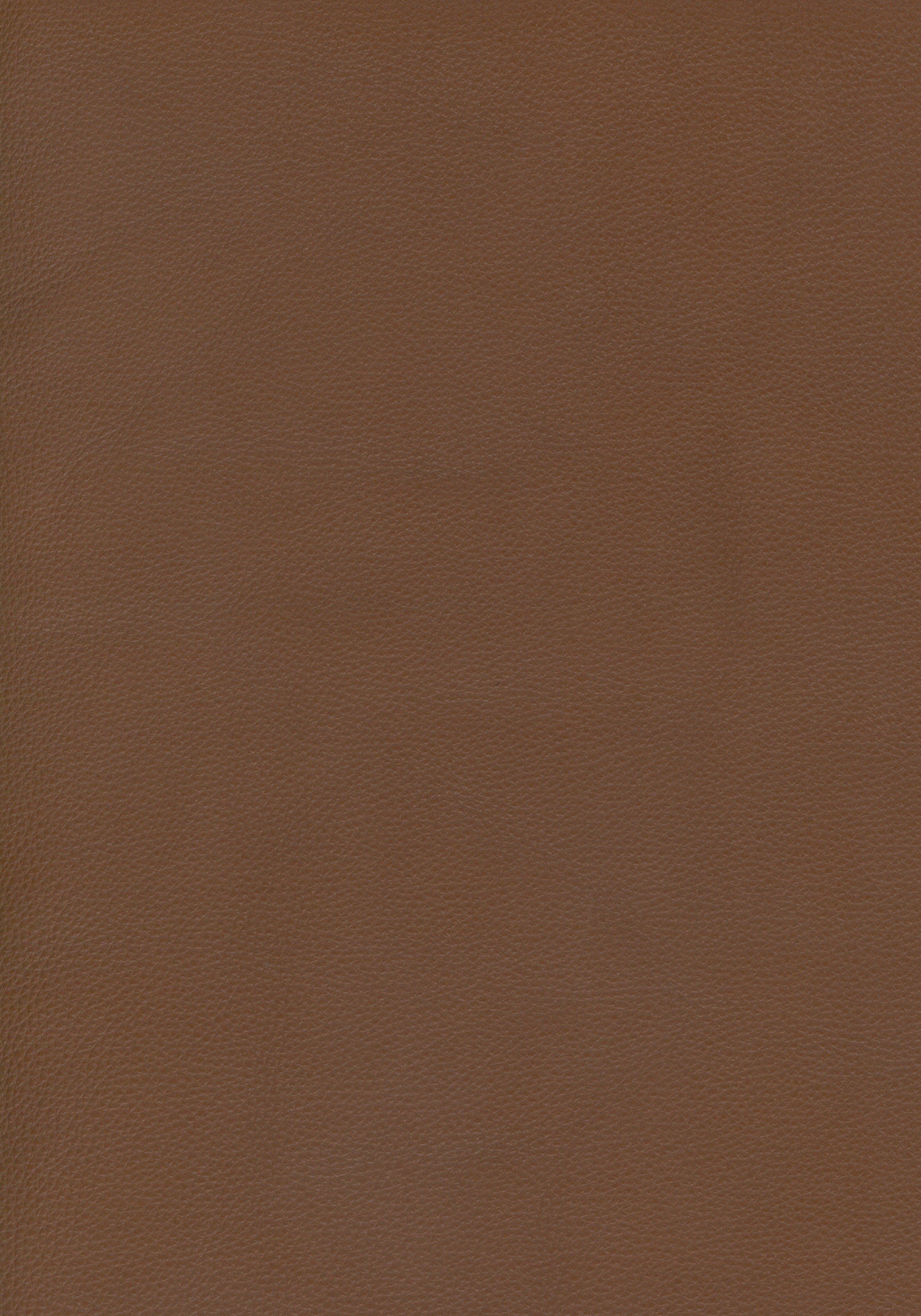098 49 Dark Caramel