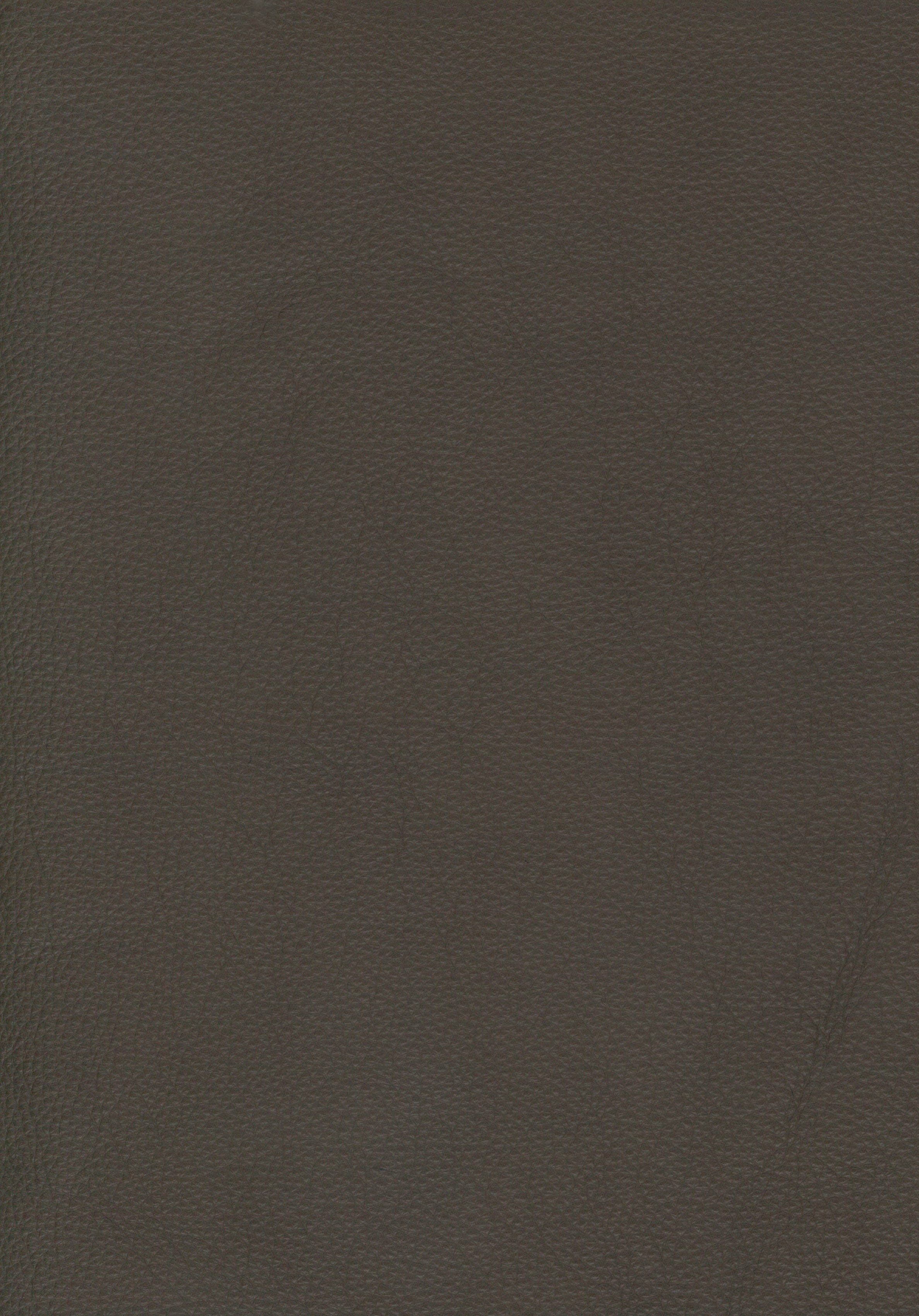 098 90 Forest Green
