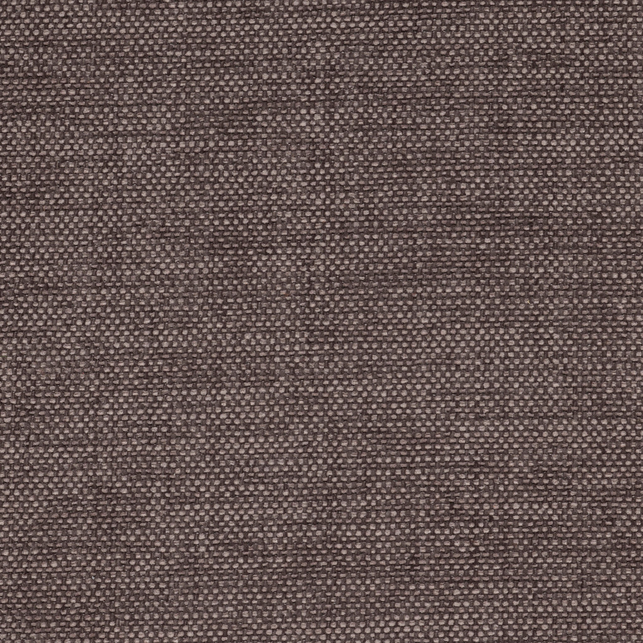 500 88 Chestnut