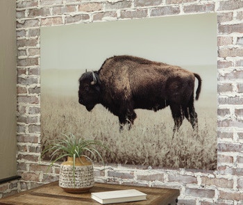 Ashley Brutus Wall Art A8000289