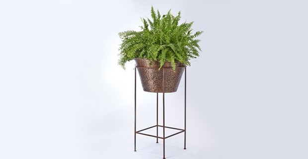 Jatex International Spider Plant Pot - Large 24341