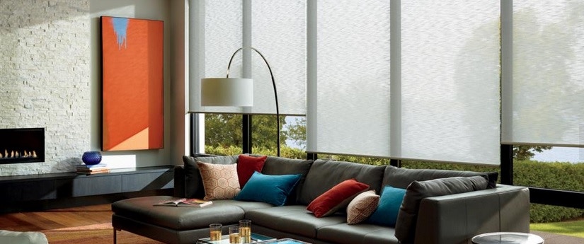 Hunter Douglas Alustra Roller Shades HD0019
