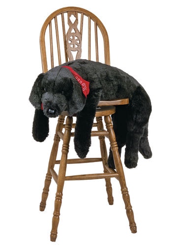 Ditz Designs Black Lab Lap - 45 Inches 40385