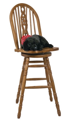 Ditz Designs Black Lab Lap - 26 Inches 40389