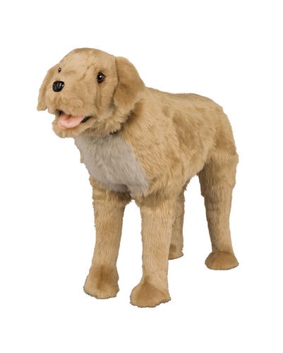 Ditz Designs Golden Retriever Footrest 66005