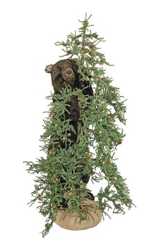 Ditz Designs Tahoe Grizzly 70194
