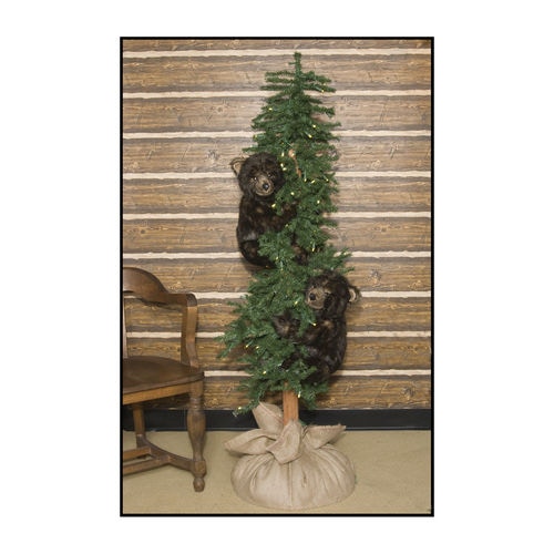 Ditz Designs Alpine Frolic Grizzly 60 Inches 70208