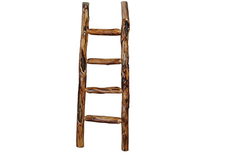Rustic Log Kiva Ladder (60H) in Gnarly Log KLAD-60-GL