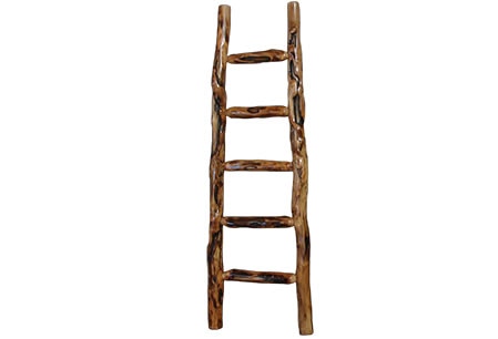 Rustic Log Kiva Ladder (72H) in Gnarly Log KLAD-72-GL