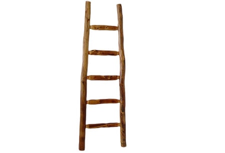 Rustic Log Kiva Ladder (72H) in Natural Log KLAD-72-NL