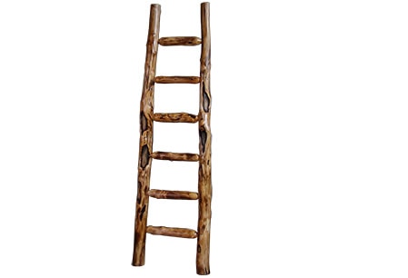 Rustic Log Kiva Ladder (84H) in Gnarly Log KLAD-84-GL