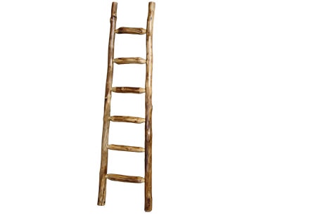 Rustic Log Kiva Ladder (84H) in Natural Log KLAD-84-NL