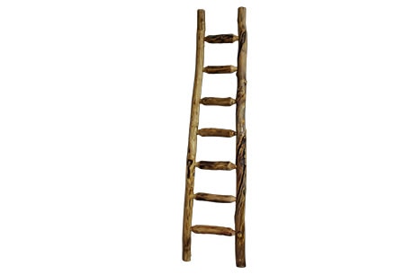 Rustic Log Kiva Ladder (96H) in Gnarly Log KLAD-96-GL
