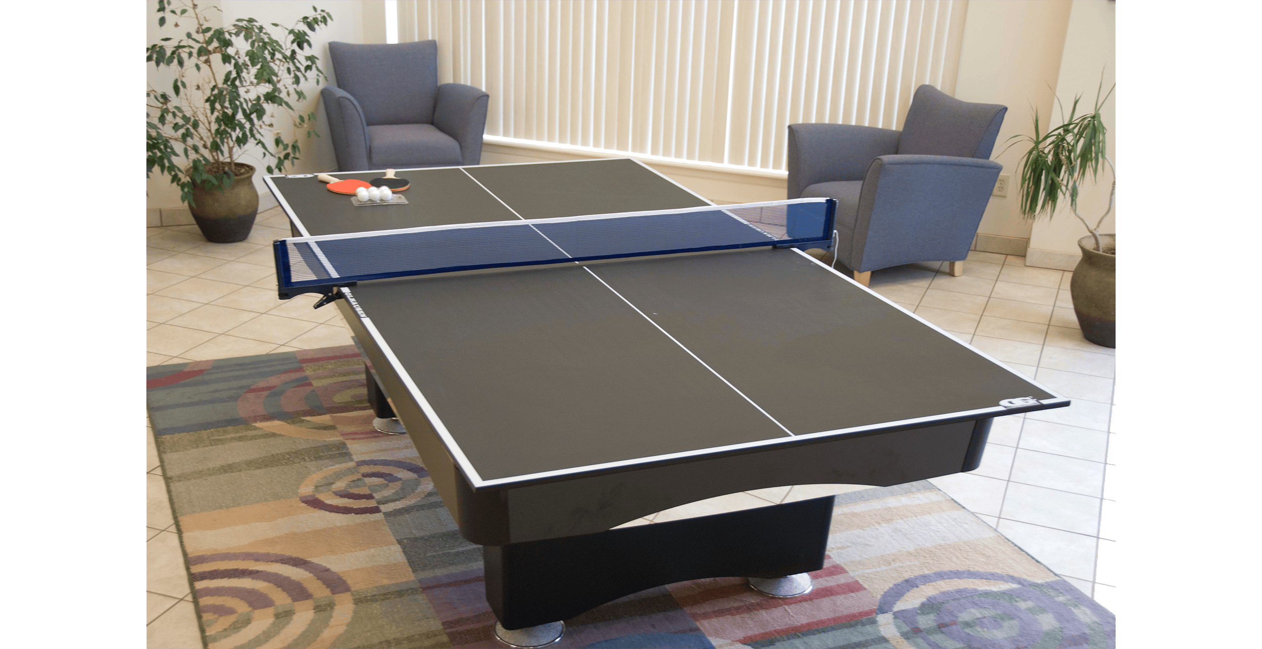 Olhausen Billiards Conversion Top Table Tennis Conversion Top