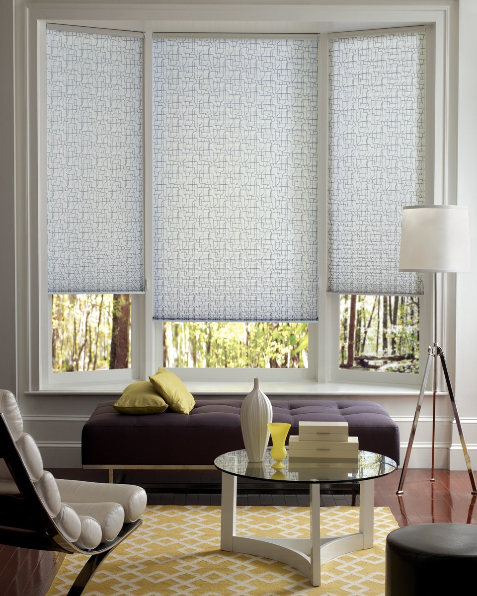 Hunter Douglas Honeycomb Shades Pleated