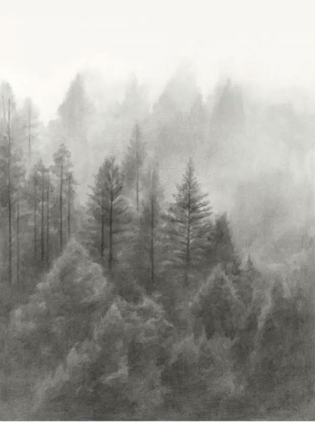  Halcyon Forest II 
