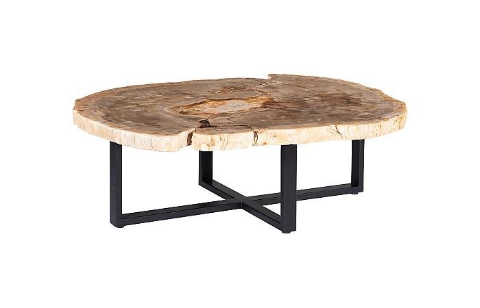  Petrified Wood Coffee Table, Black Metal Base 