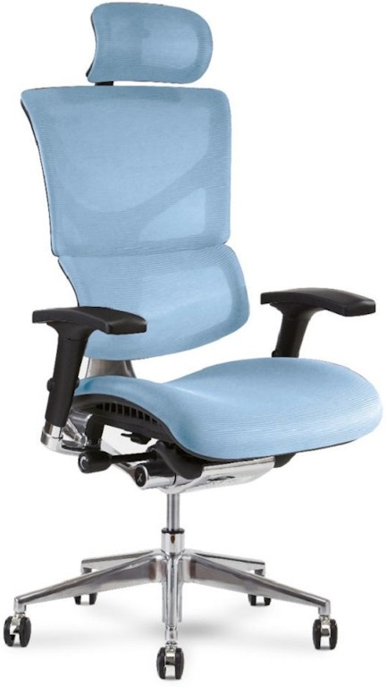  X-Chair X3 Management Office Chair, Black A.T.R. Fabric with  Headrest - High End Comfort Chair/Dynamic Variable Lumbar Support/Floating  Recline/Highly Adjustable/Durable/Executive Office Desk Seat : Everything  Else