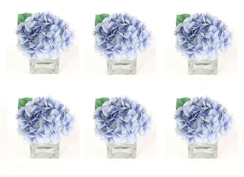  Blue Hydrangea in Water 10082