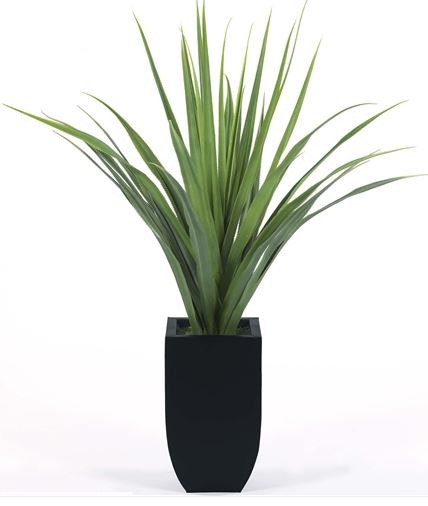 Giant Aloe Floor Plant 10085
