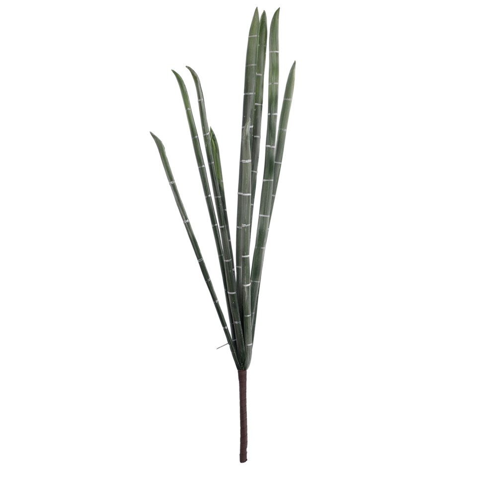  giant bamboo bunch 11152