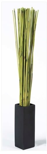  Green Reed Sticks in Black Vase 10080