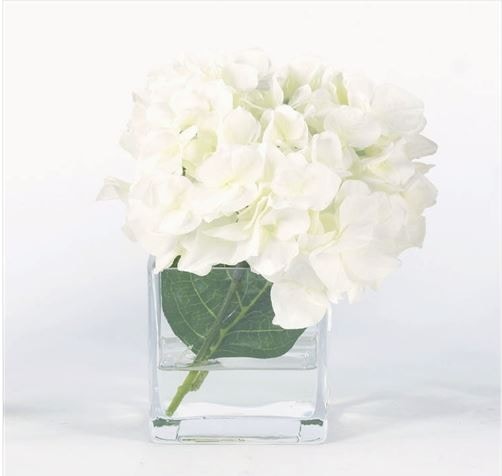  White Hydrangea in Water R13241W-6