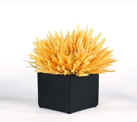  YELLOW SPIDER MUM 10077