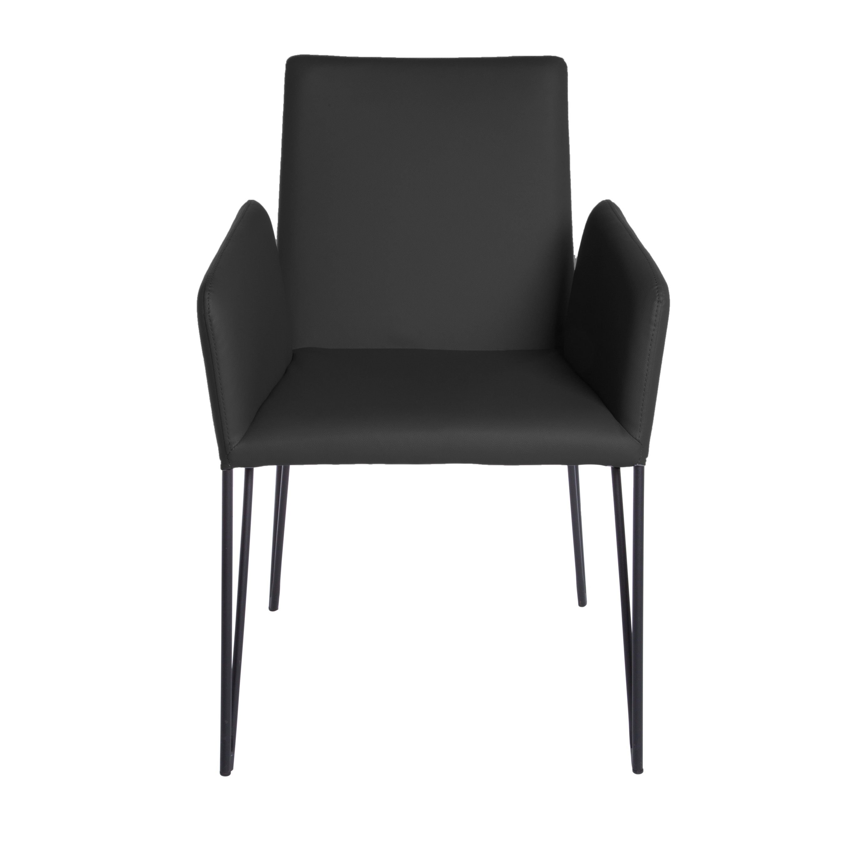 Euro Style Amir Arm Chair 38682BLK Portland, OR Key Home Furnishings