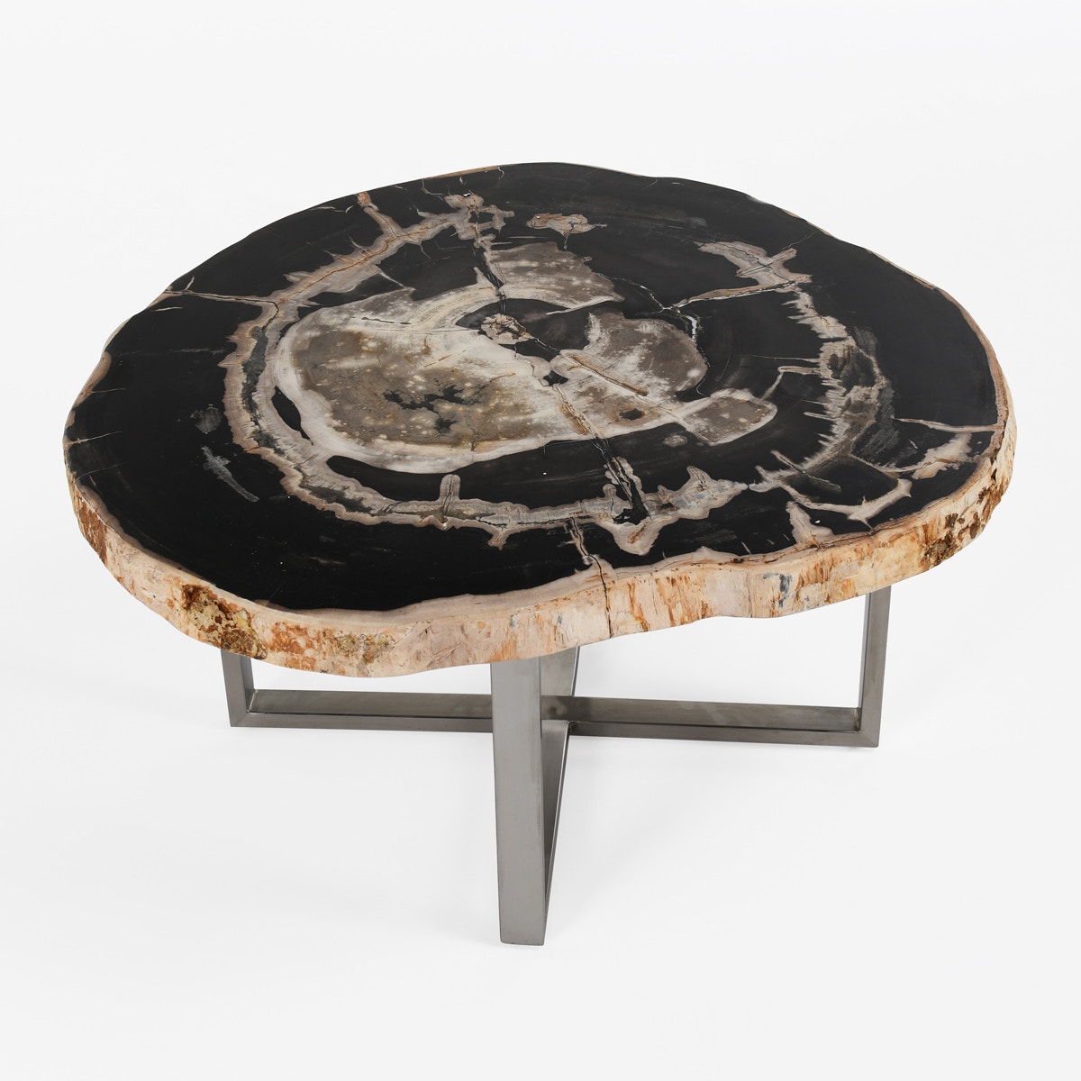 Petrified coffee table online