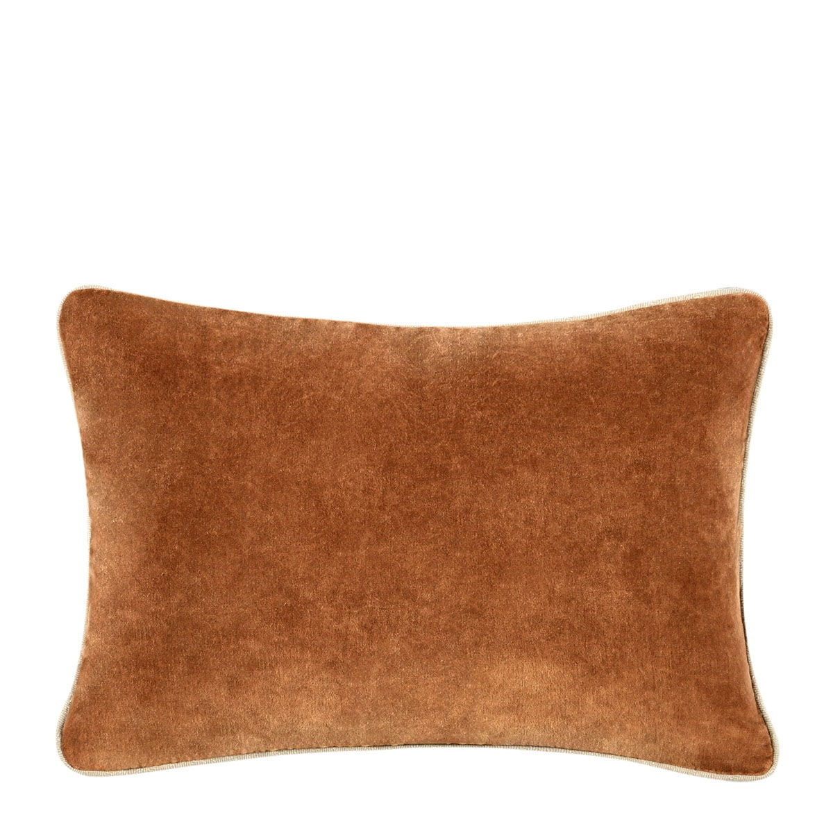 Classic Home 14 x 20 SLD Pillow V290131