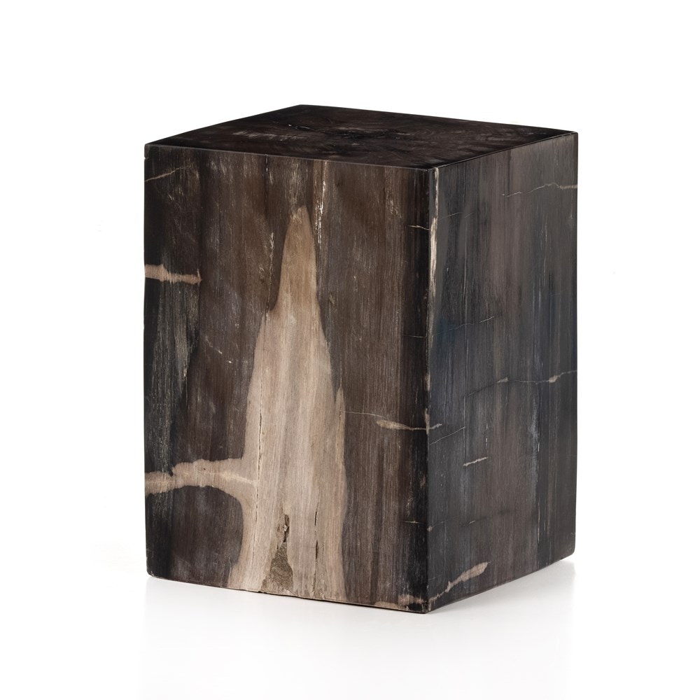 Petrified wood side table discount