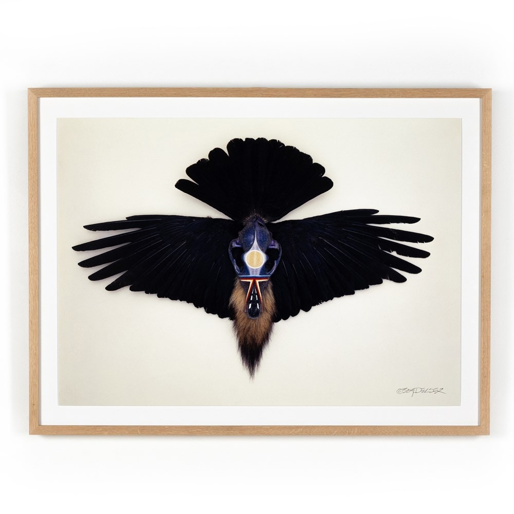 Four Hands Coyote Crow By Boyd Elder 233314-001 - Portland, OR