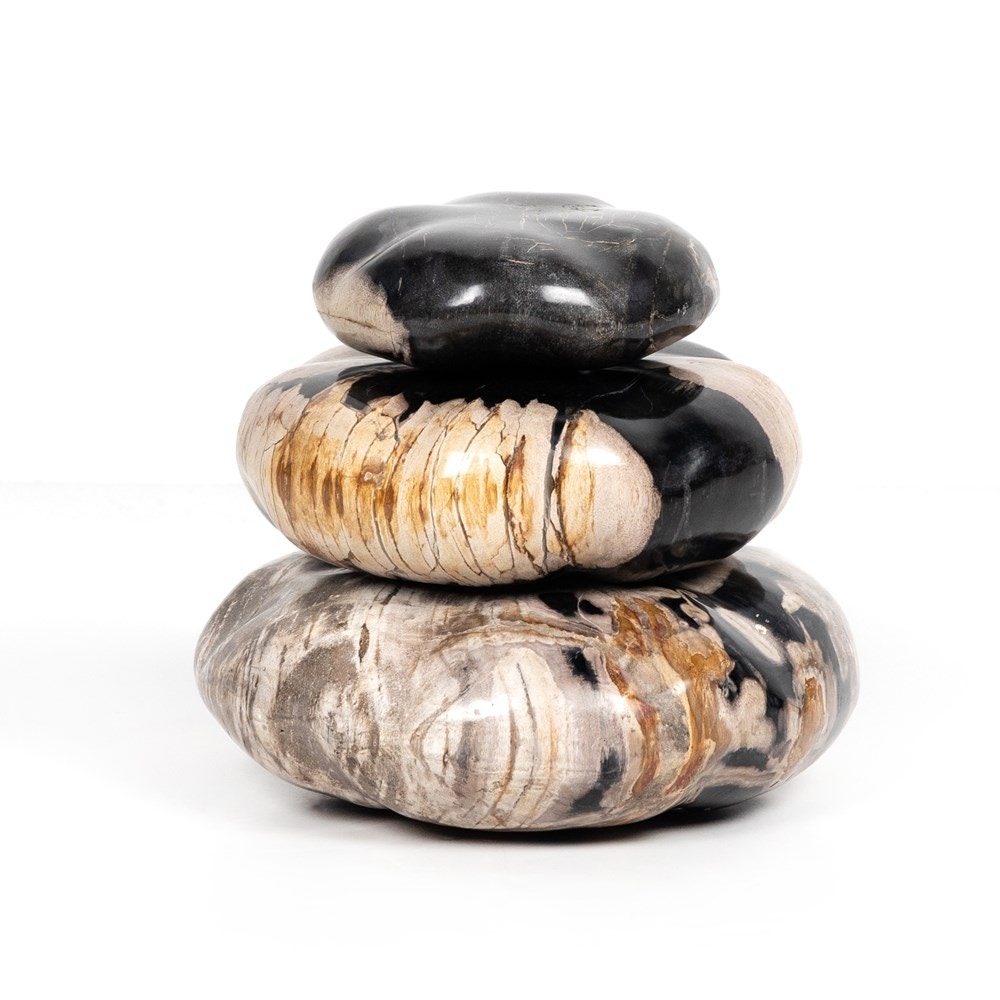 Four Hands Palu Petrified Wood Organic Sculpture Dark - Thumbnail 4