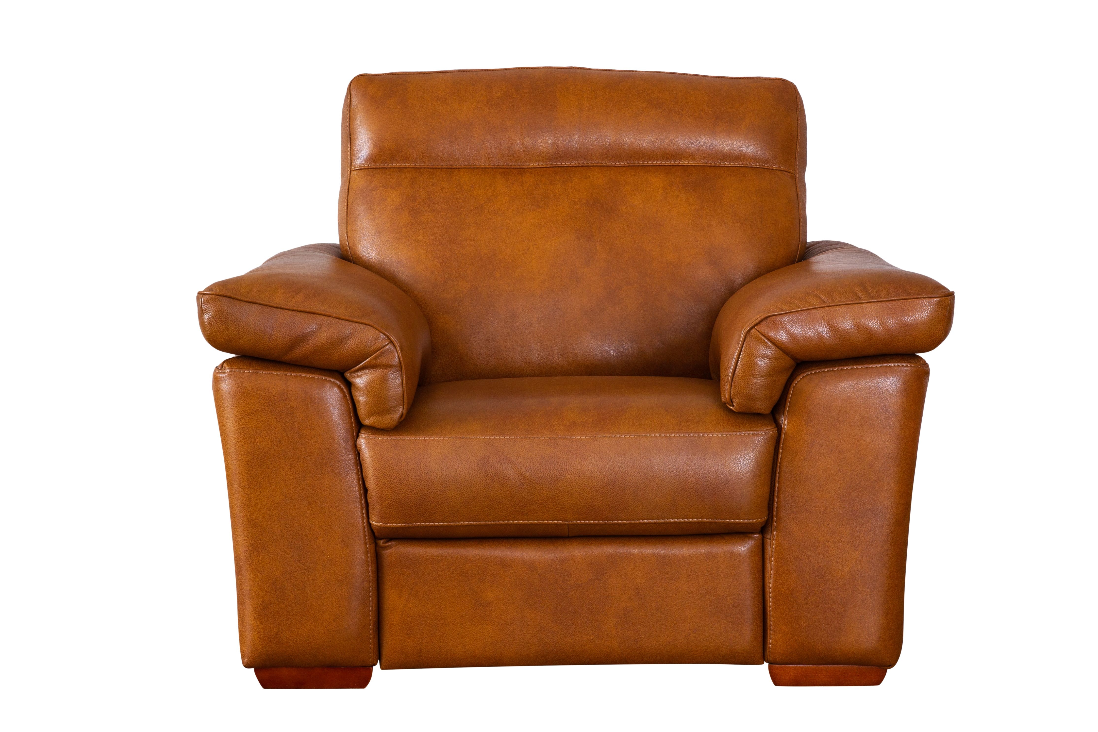 natuzzi leather power recliner