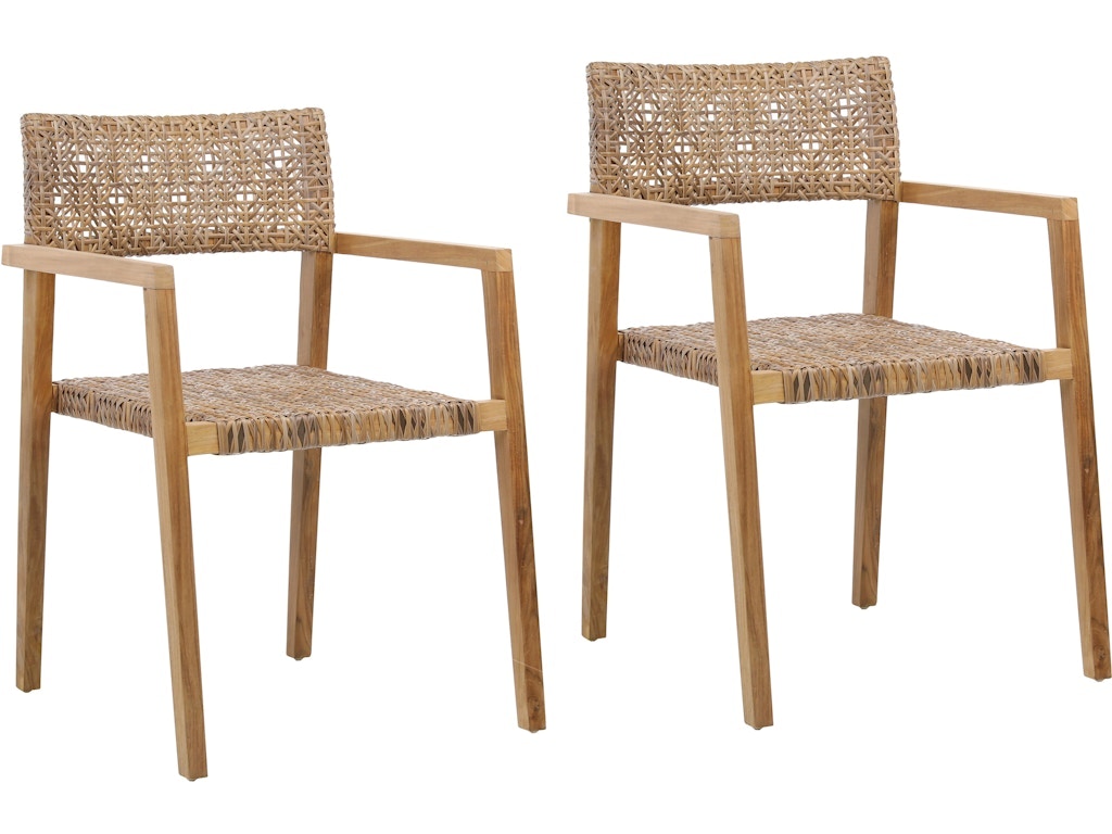 Dovetail Furniture Deeta Outdoor Dining Chair Set of 2 DOV18813BR