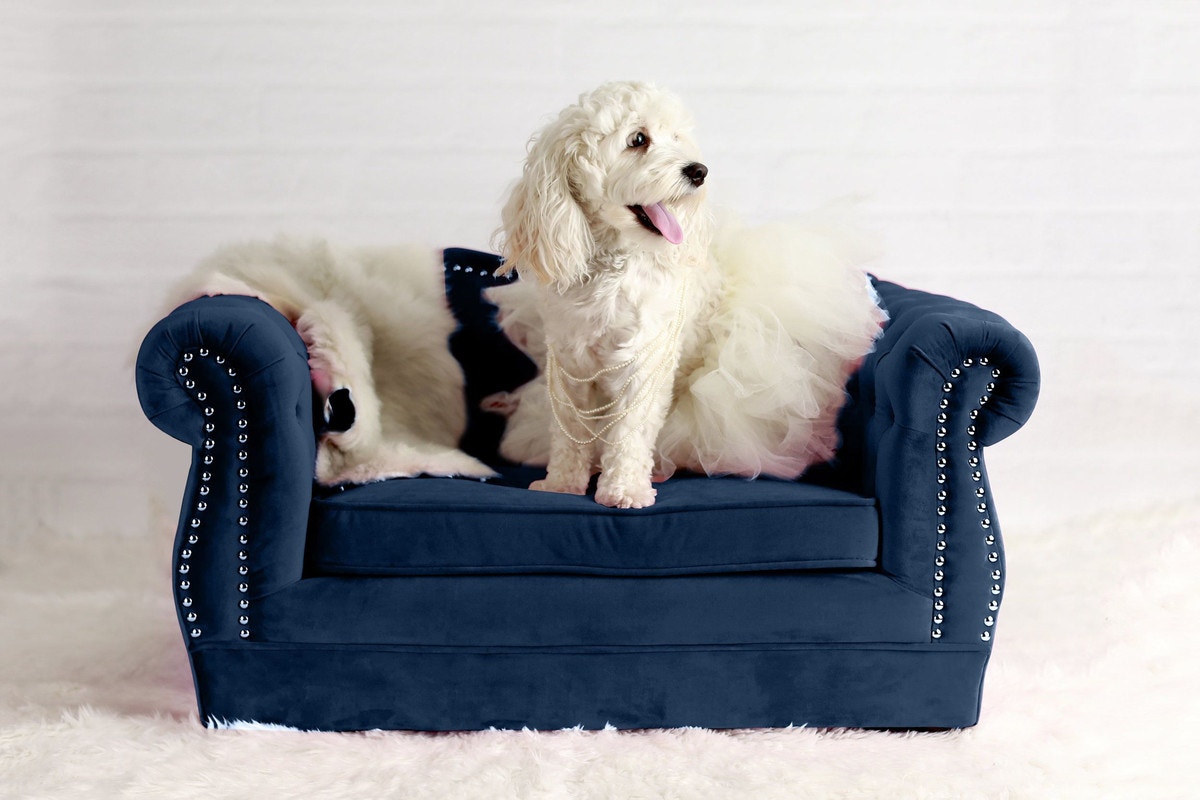 TOV Furniture Yorkshire Navy Pet Bed TOV-P2037-N