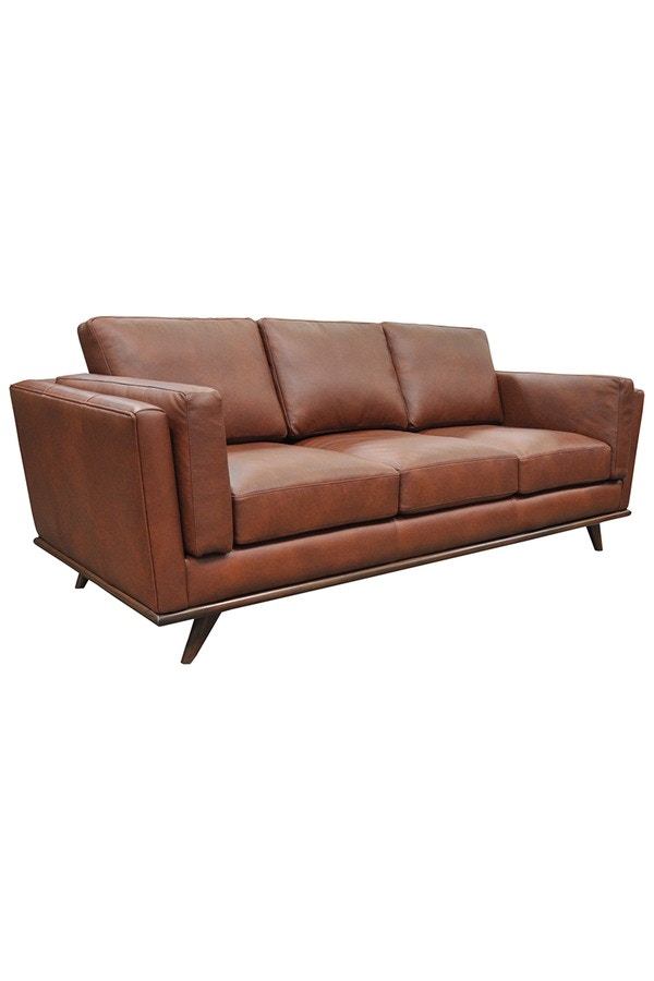 Omnia Leather by Leather and More Leather Sofa Zane