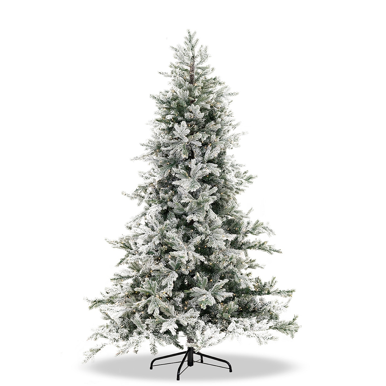 puleo  klfr075 1531 1