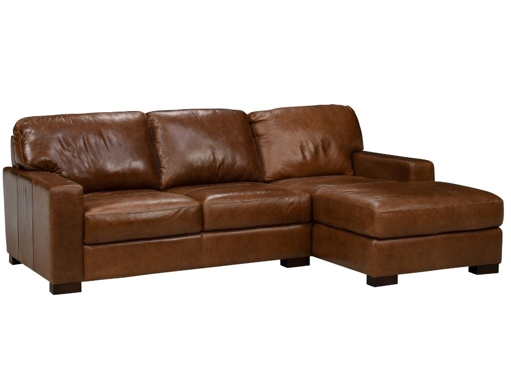 Softline deals leather sectional