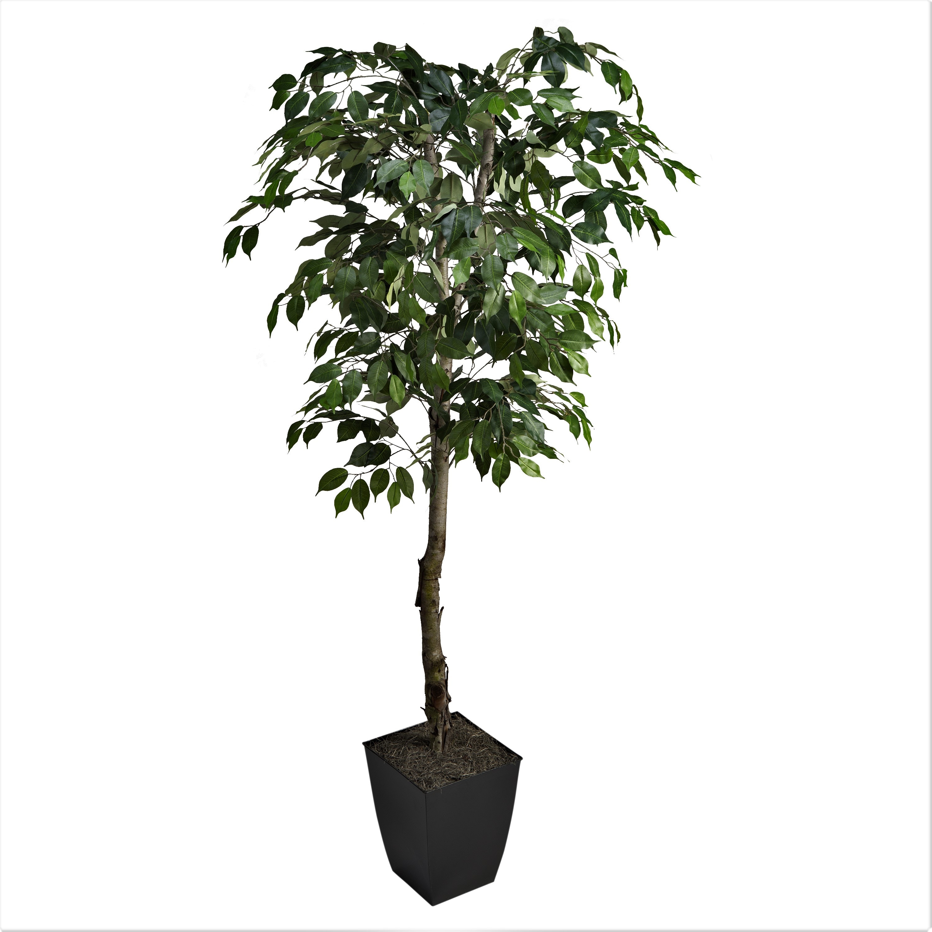 Home Decor Farmers Home Furniture