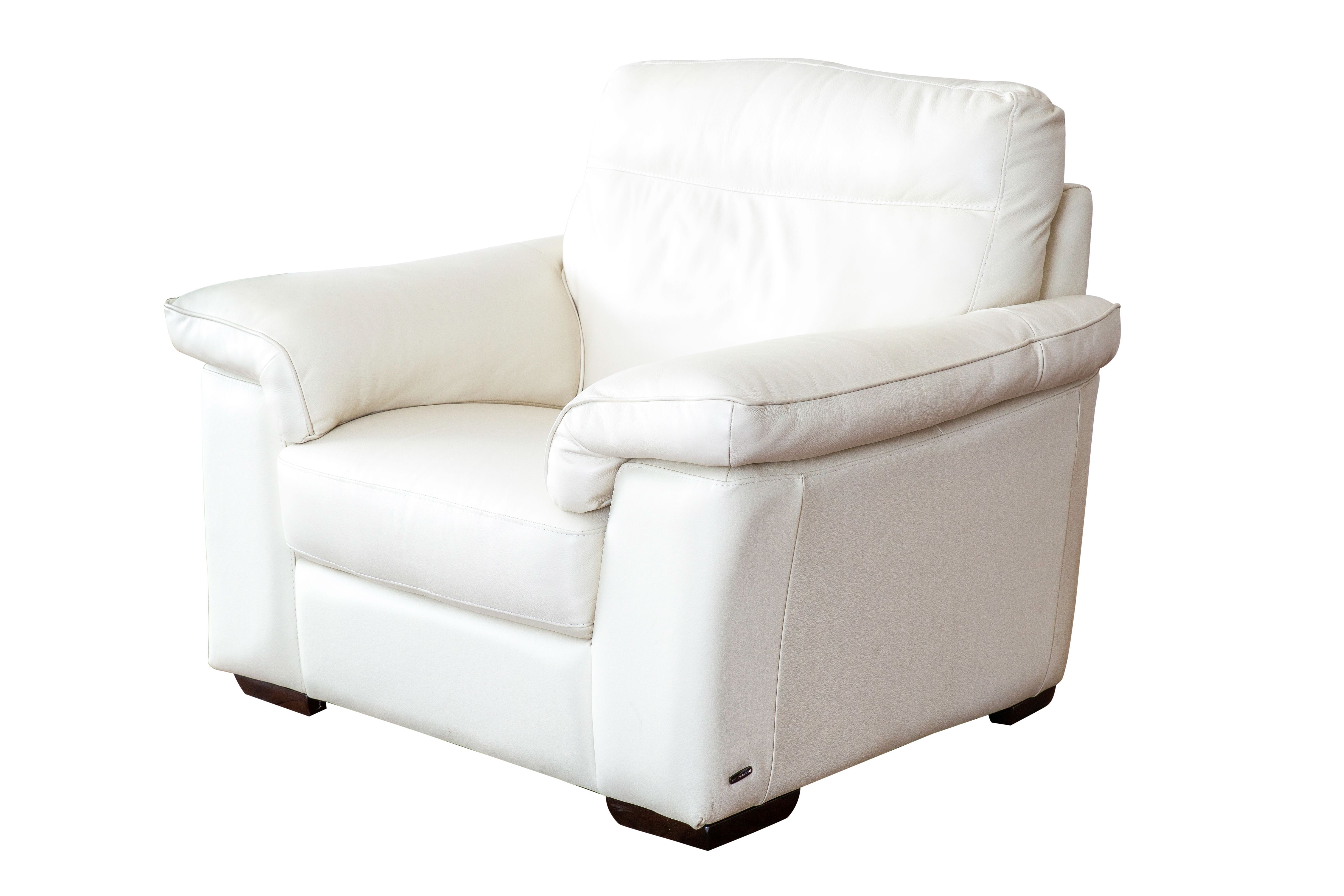 Natuzzi Editions Chair & 1/2 Florida Leather Gallery Fort Myers, FL