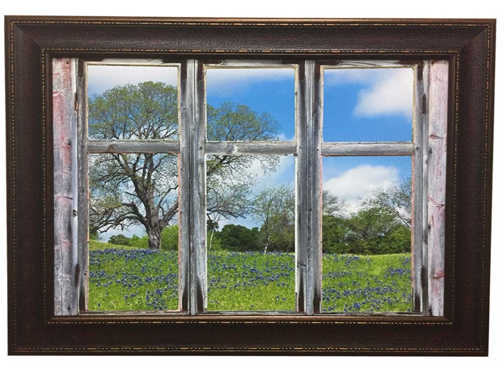 Picture King Bluebonnet View GC1453045