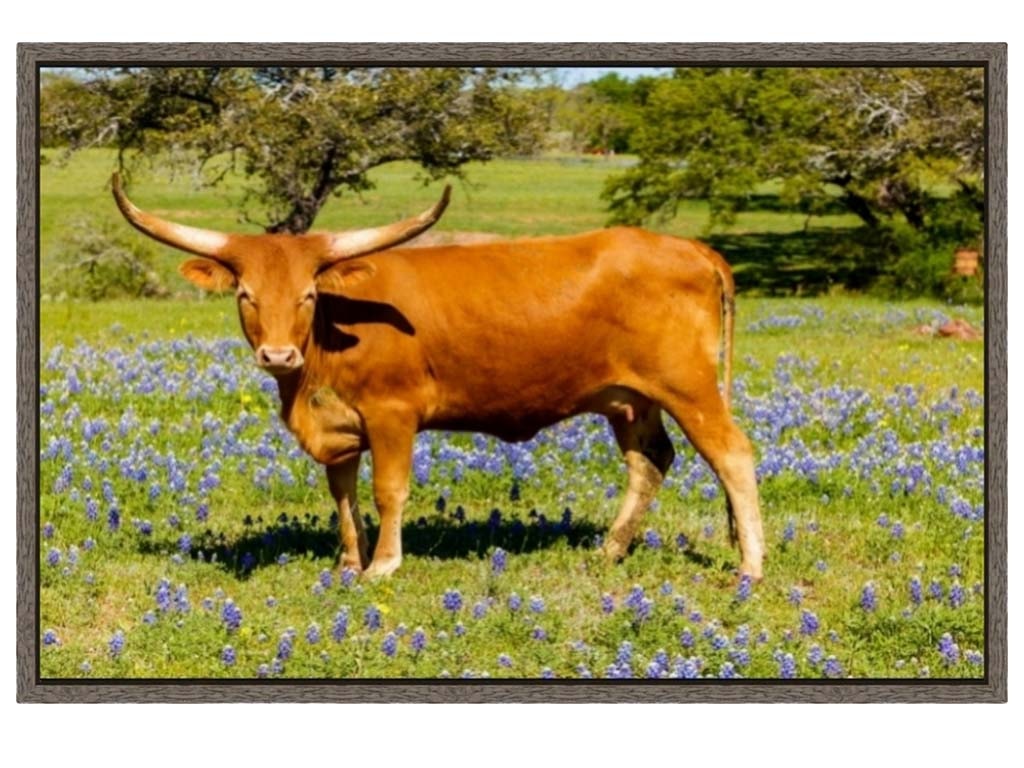 Picture King Stand Your Ground W752-1827