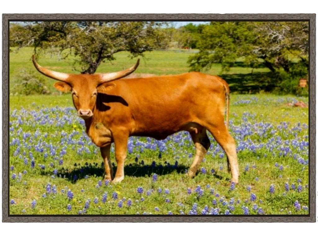 Picture King Stand Your Ground W752-3045