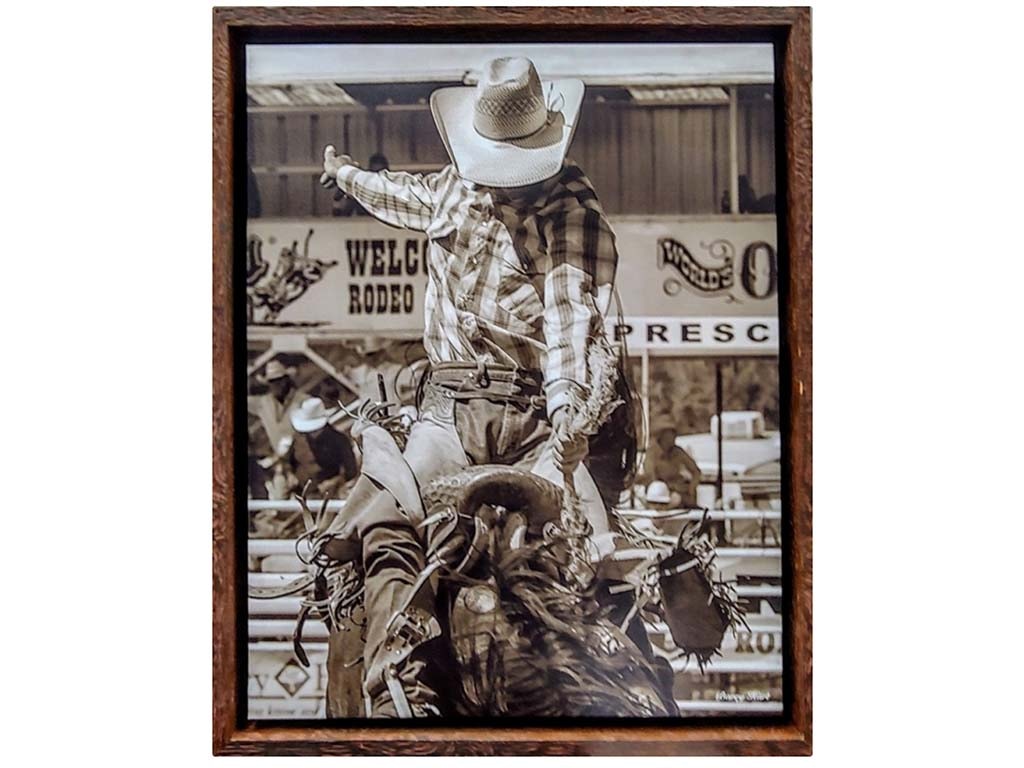 Picture King Bronck Buster W755-2025