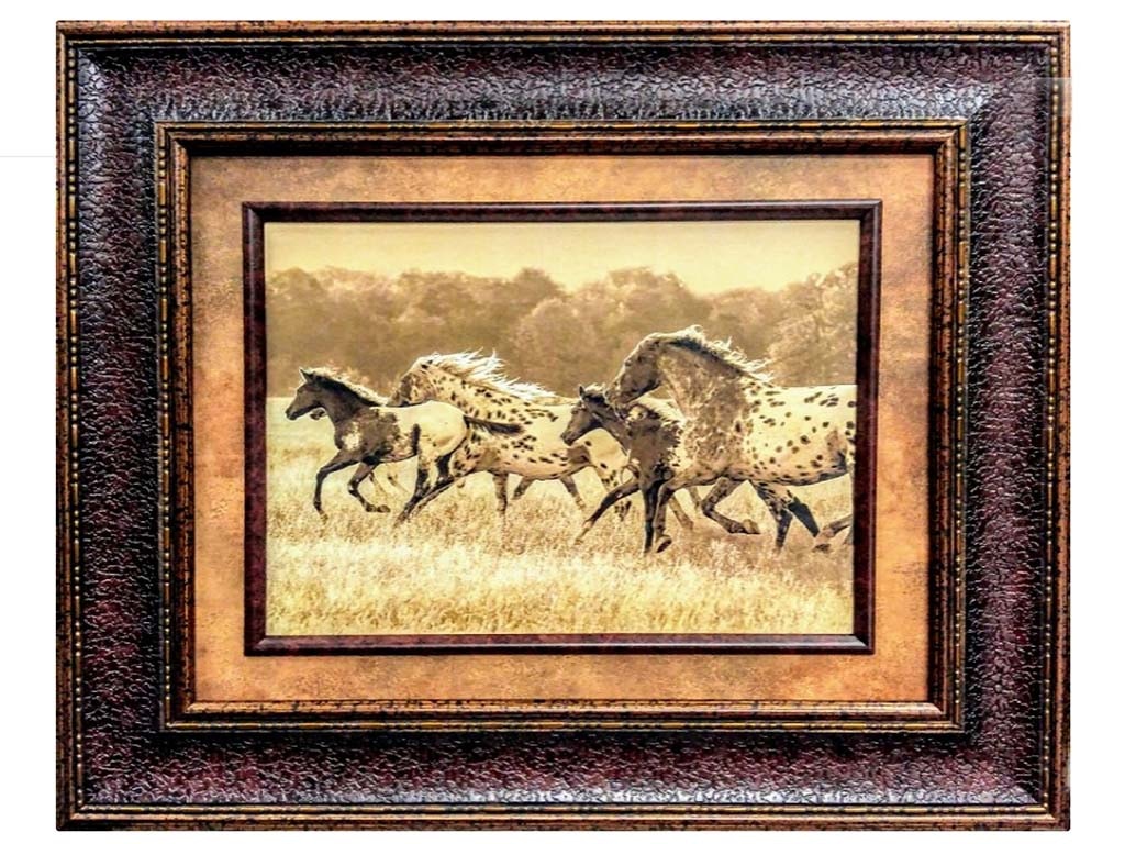 Picture King Appaloosa Run W9731620