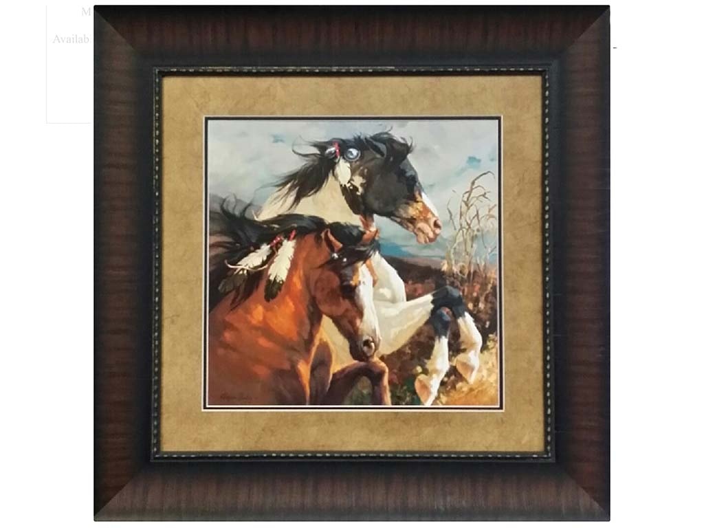 Picture King Wind Voyager W9782424