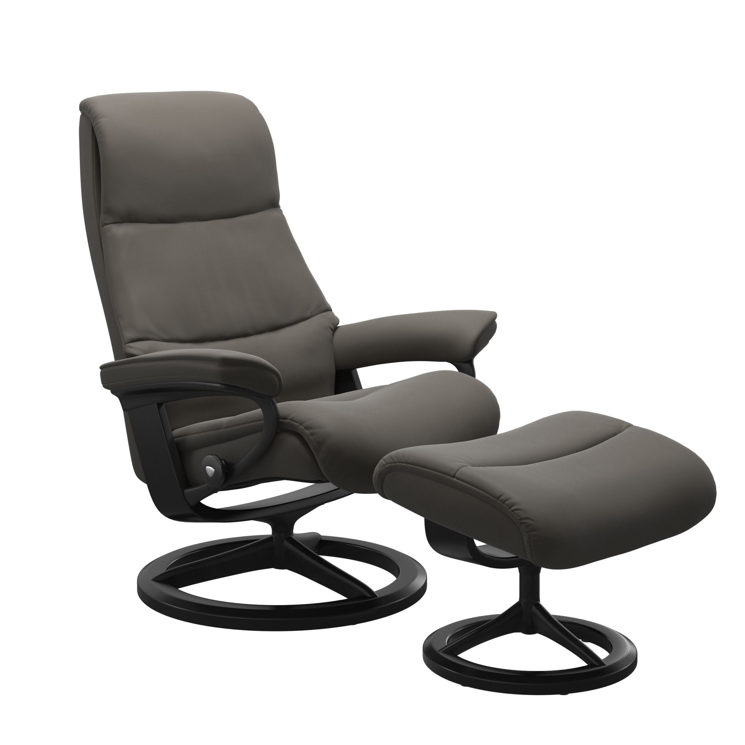  View Chair & Ottoman 1307315-44